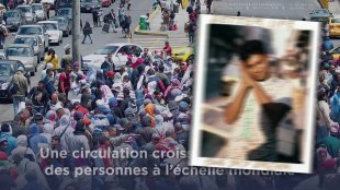 La vidéo du thème